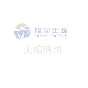 河南喜諾食品潔凈車間二期擴(kuò)建施工中